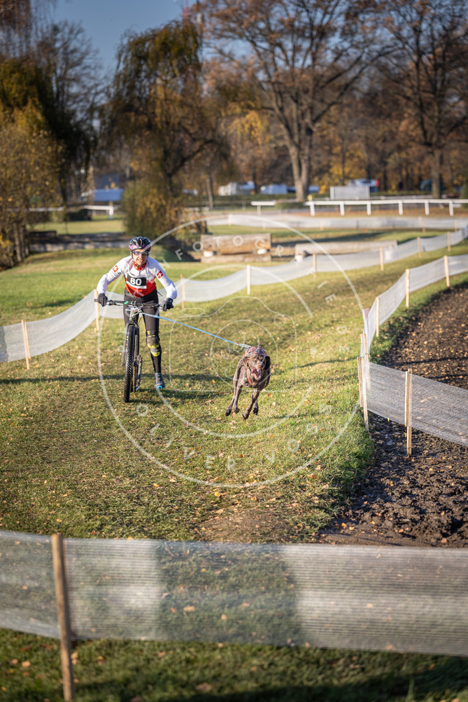 CaniXpix_DV3A1518 | Hundefotografie, Tierfotograf, Pfotenfotografie, Fotoshooting Hund, Hunde Portrait, Hundesport, Hundeportraits, Heideshooting, Hunde, Sportfotograf, Hundefotograf, Turnierhundsport, THS,  - Realisiert mit Pictrs.com
