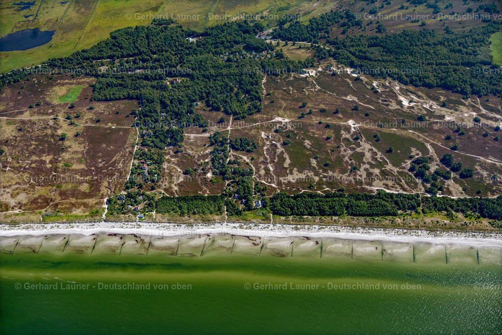 4061557 | INSEL HIDDENSEE 08.09.2021 Heide- Landschaft Dünenheide an Ostseeküste der Insel Hiddensee im Bundesland Mecklenburg-Vorpommern. // Heathland landscape Duenenheide in Insel Hiddensee in the state Mecklenburg - Western Pomerania. Foto: Gerhard Launer