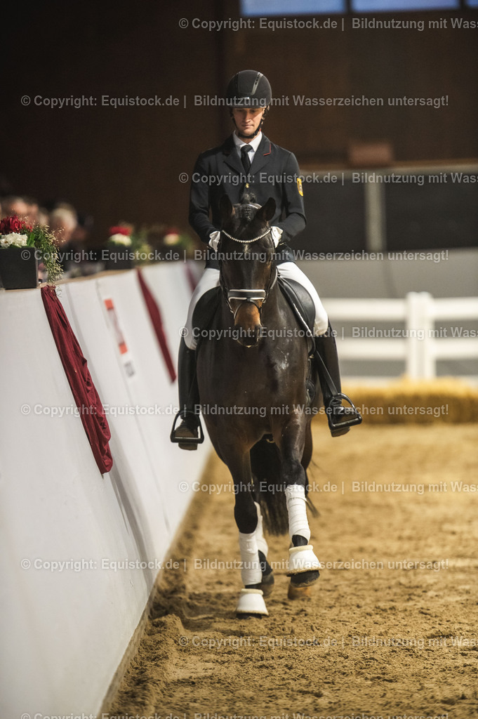 20240302_Hengstvorstellung_Marbach_TOMsPiC_0378 | equistock