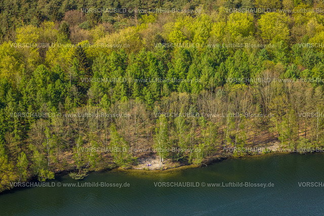 Brueggen240403221DiergartscherSeeSchwalm | Luftbild, Diergartscher See Naturschutzgebiet NSG Elmpter Schwalmbruch, Mischwald und Uferbereich mit Badegästen, Auenlandschaft an der deutsch-niederländischen Grenze, Oebel, Brüggen, Niederrhein, Nordrhein-Westfalen, Deutschland