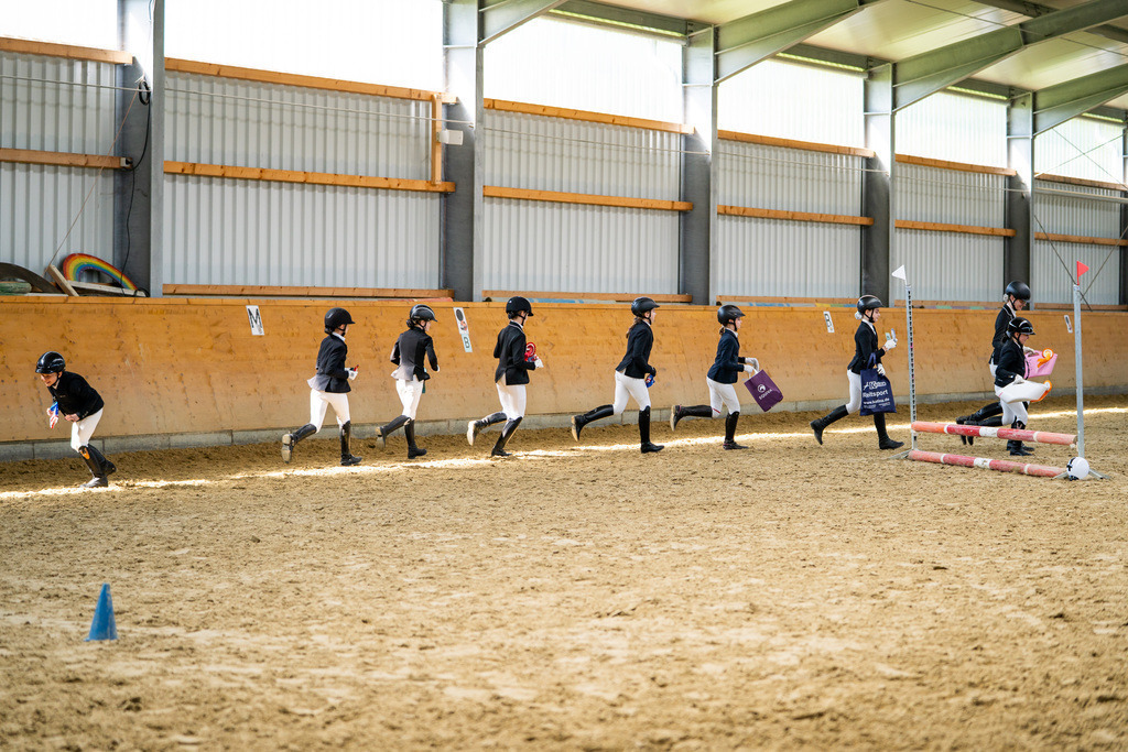 DSC02405 | Pferdegrafie