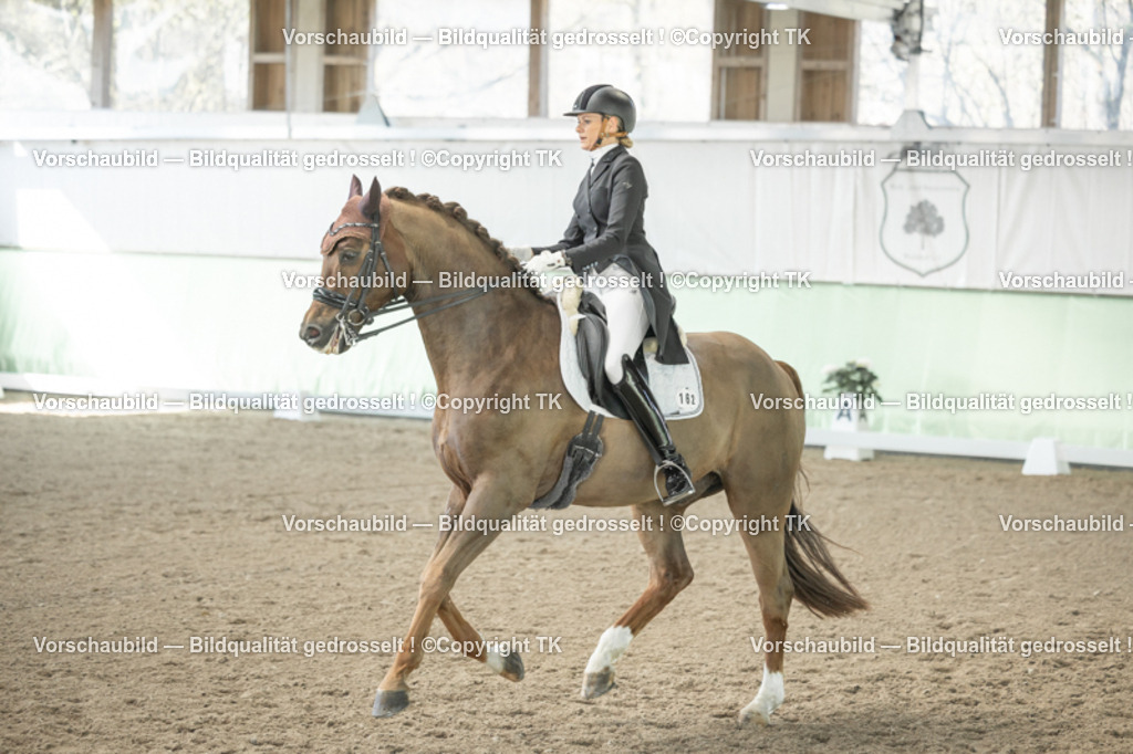 _D5A1291 | Emotionale Pferde- & People-Fotografie rund um Heidelberg, Leimen & Umgebung. Natürliche Fotos von Pferd, Mensch & Familie. Jetzt Termin sichern!