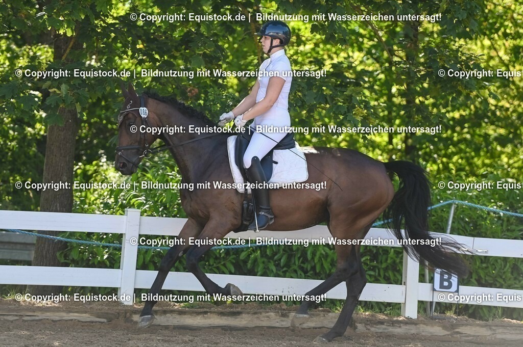 20230715_06_Dressurpferdeprfg. Kl.A_0287 | equistock