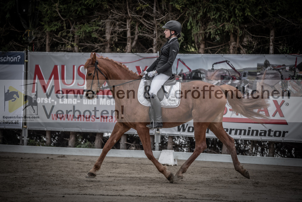 DSC_9045 | equestrian-live-com