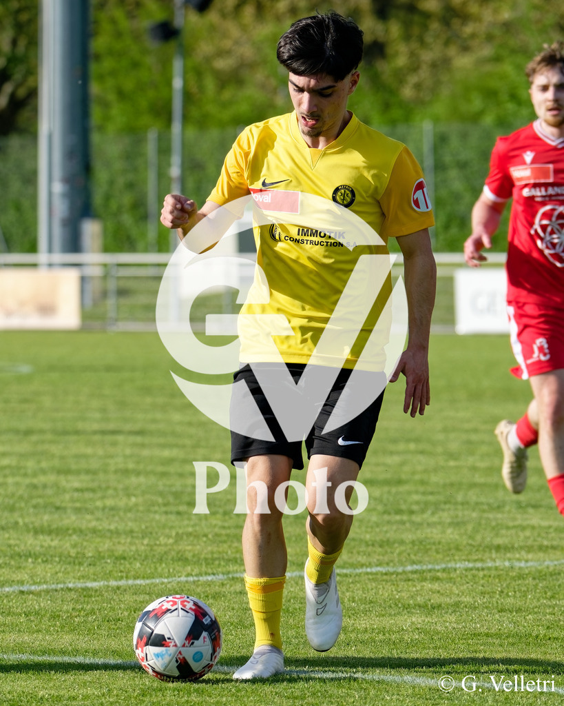 DSC_1456 | Velletri Photo