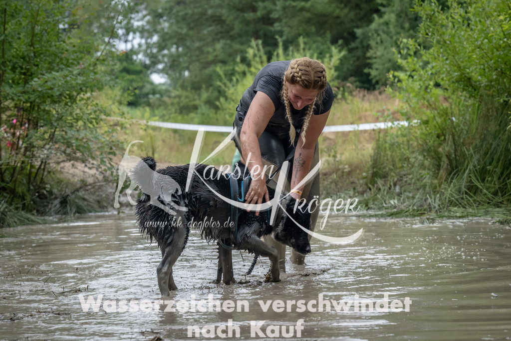 1339_ZZ91399 | kk-dogfotos
