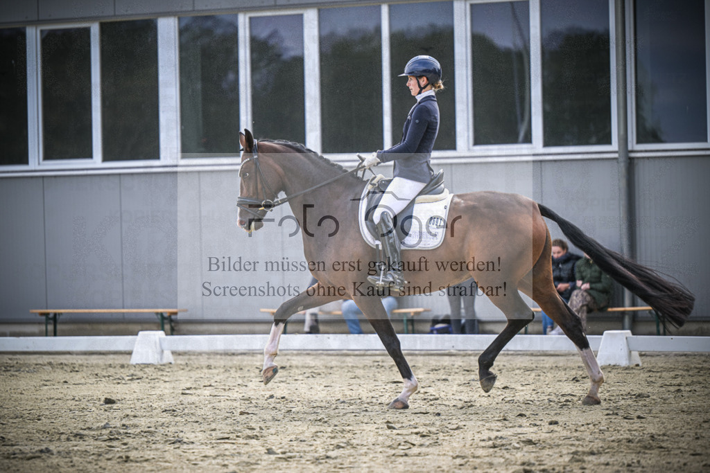 DOS_2144 | Entdecke hochwertige Reitturnierfotos von Foto Oger. Professionell, emotional und authentisch – jetzt Lieblingsmomente im Shop bestellen.Deutschlandweite Turnierfotografie. - Realisiert mit Pictrs.com