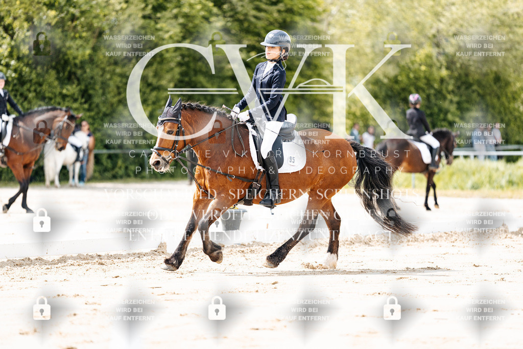CK901706 | Turnierfotografie Pferdefotografie Trier Rheinland-Pfalz Pferdesport Reitsport Tierfotografie Sportfotografie Pferdevideo Pferdevideografie Equestrianvideography equestrianphotography  - Realisiert mit Pictrs.com
