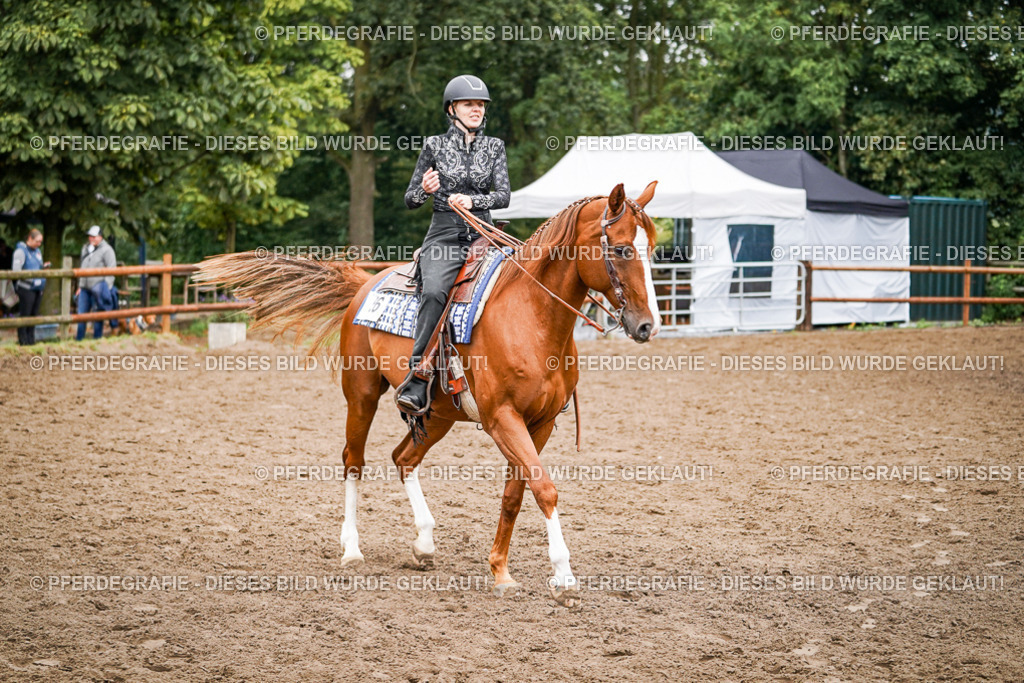 DSC02387 | Pferdegrafie