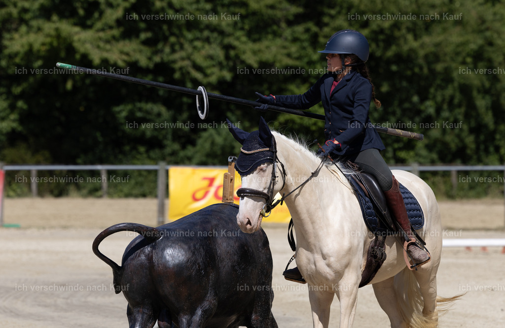 WE_Trail_27_KerstinBernhardt-9 | working equitationturnier fotograf videograf stoibphotography marixx film working equitation deutschland reitsport turnierfotografie eventfotografie equestrian events