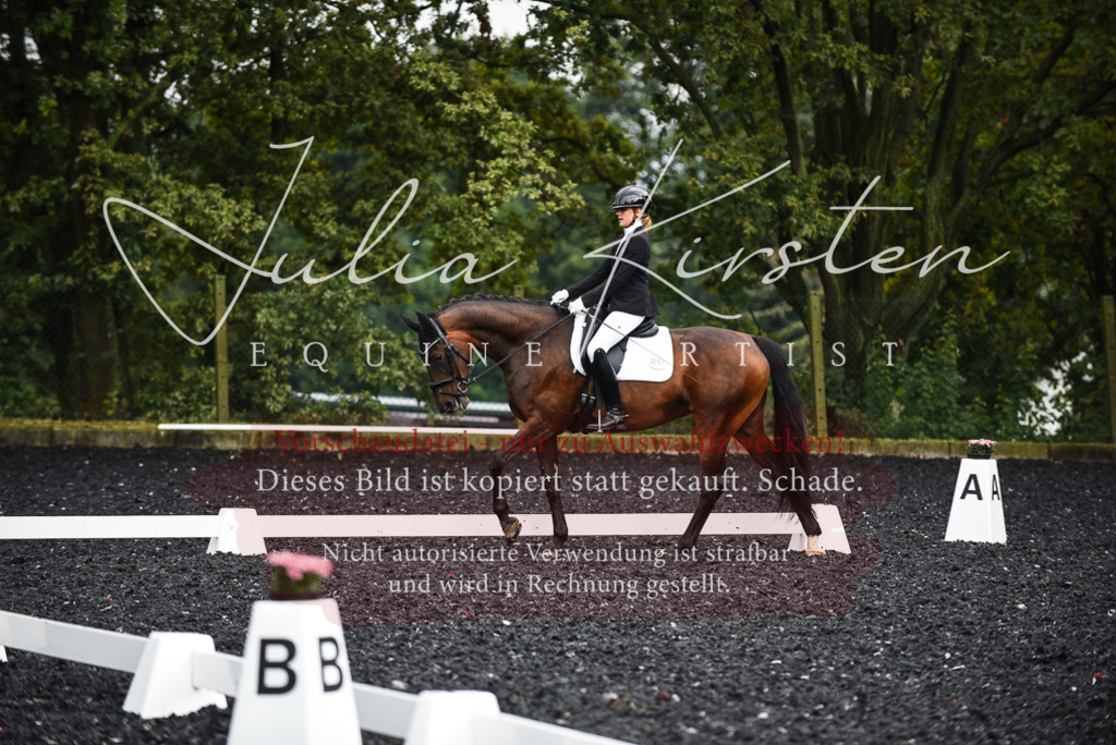 DSC_2939 | Pferde- und Turnierfotografie in Westsachsen. Pferdeportraits, Auftragszeichnungen und intuitive Kunst.