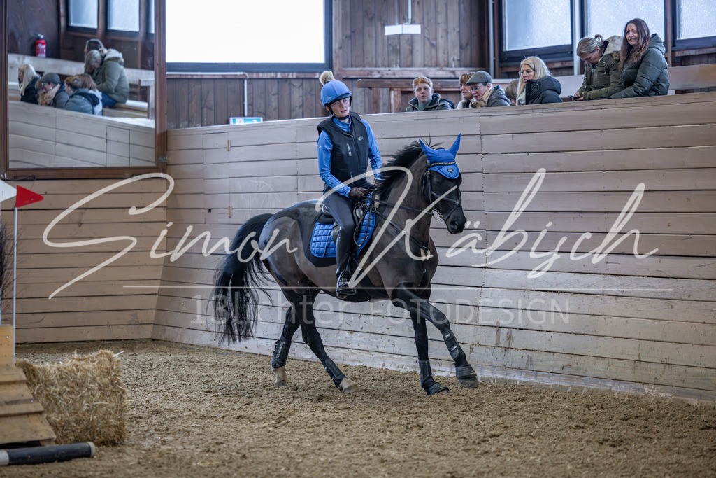 20260221-_3LI8923 | Tierfotografie Pferde, Hunde, Katzen, Haustiere.
Turnierfotografie Reitturniere, Reiten, Springreiten, Dressur in Hanau, dem Main-Kinzig-Kreis und dem Rhein-Main- Gebiet um Frankfurt