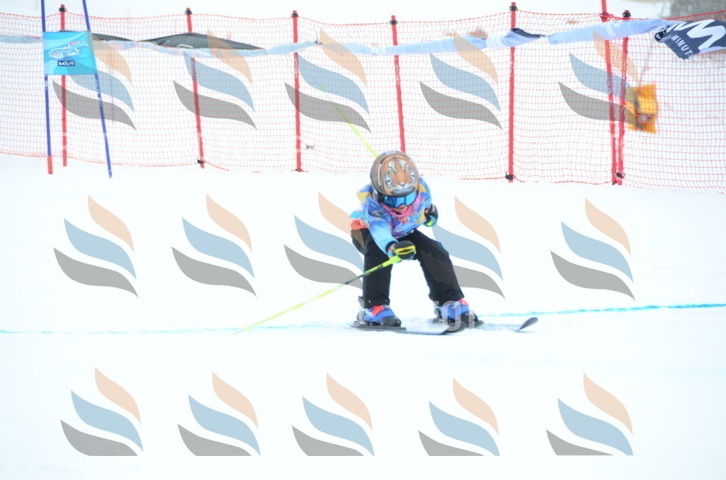 DSC_0934 | holidayphoto