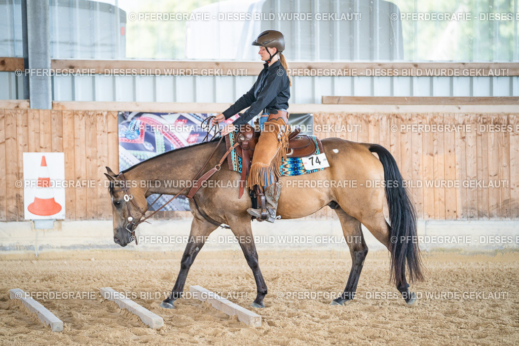 DSC03359 | Pferdegrafie