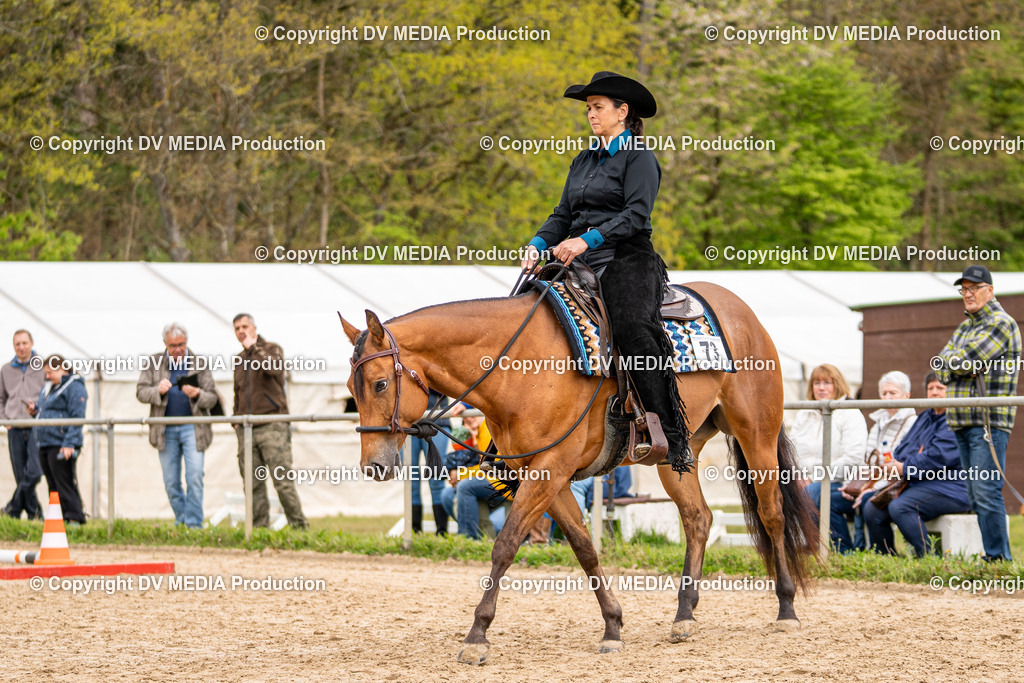 Heiligenwald Tag 1-825 | dv-media-shop - Realisiert mit Pictrs.com