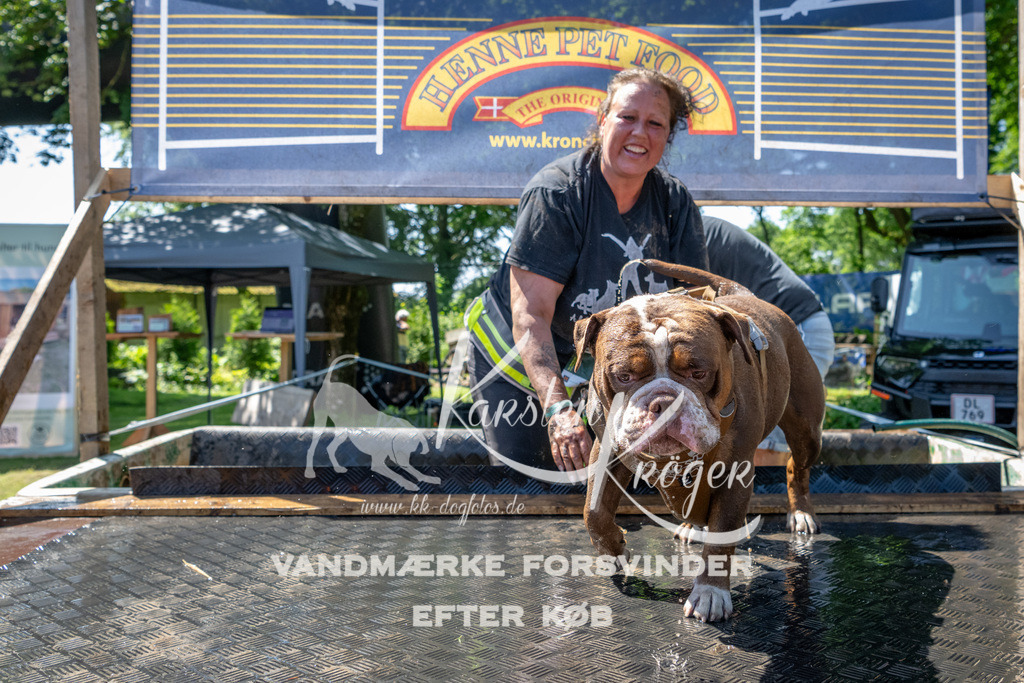 1246_ZZ92285 | kk-dogfotos