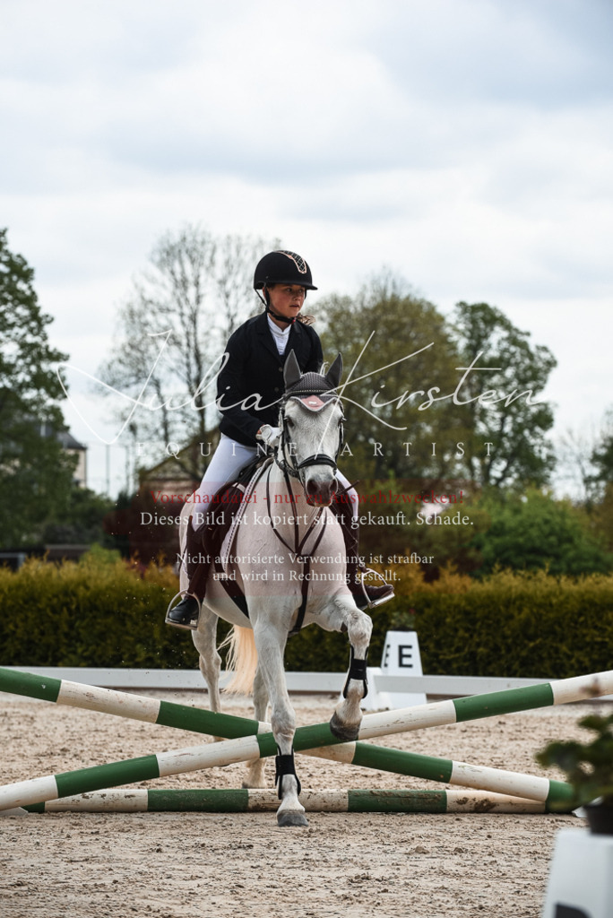 20230518_JK-Röhrsdorf-10-223 | Pferde- und Turnierfotografie in Westsachsen. Pferdeportraits, Auftragszeichnungen und intuitive Kunst.