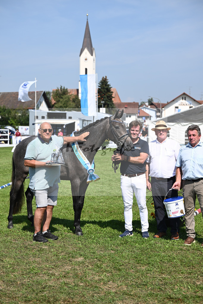 Kat-Nr. 28 nn v. Cayado_Sommer_34240619 | hf-fotografie - Realisiert mit Pictrs.com