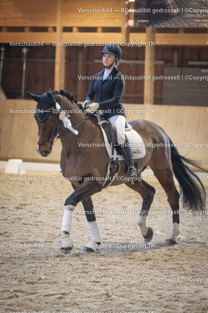 _D5A4840 | Emotionale Pferde- & People-Fotografie rund um Heidelberg, Leimen & Umgebung. Natürliche Fotos von Pferd, Mensch & Familie. Jetzt Termin sichern!