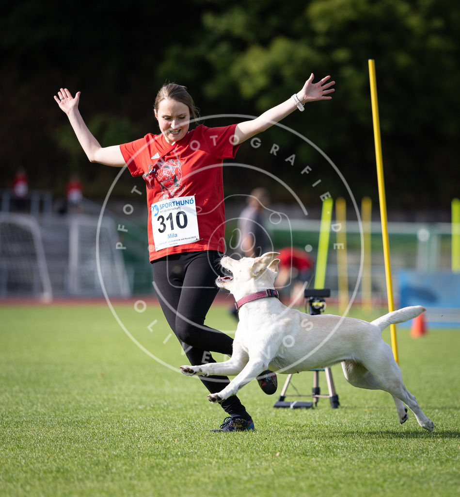Pfotenfotografie_DV3A1715 | Hundefotografie, Tierfotograf, Pfotenfotografie, Fotoshooting Hund, Hunde Portrait, Hundesport, Hundeportraits, Heideshooting, Hunde, Sportfotograf, Hundefotograf, Turnierhundsport, THS,  - Realisiert mit Pictrs.com