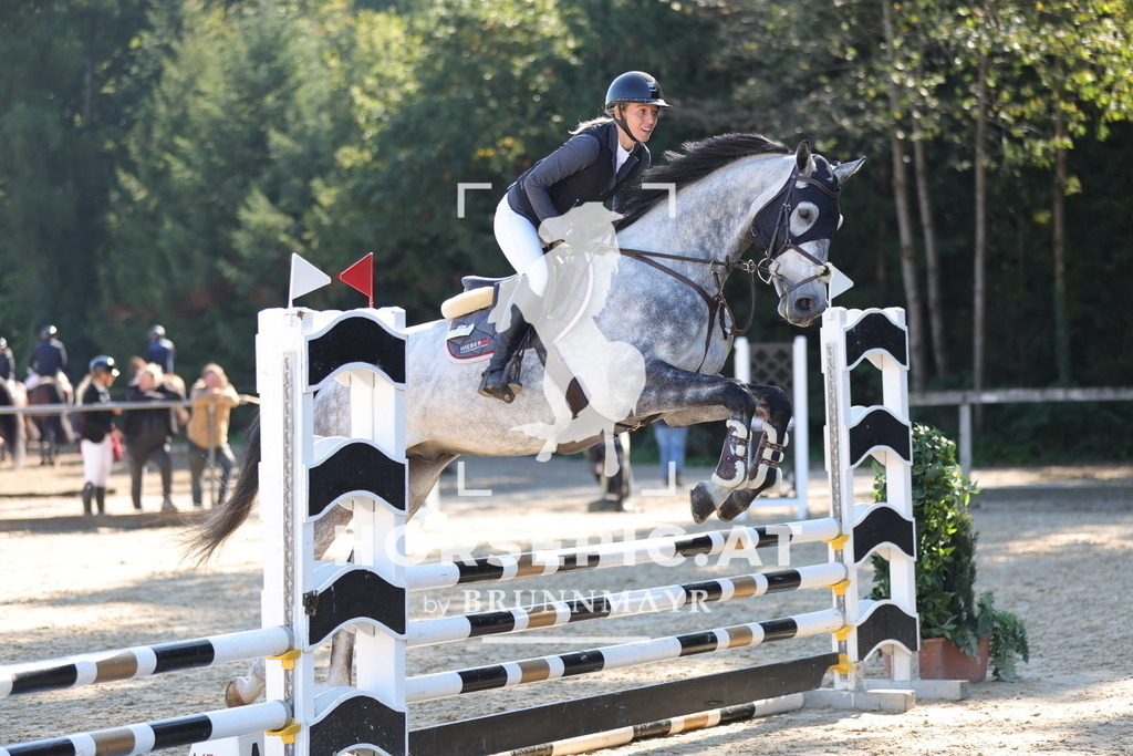 0P6A9461 | Willkommen bei Brunnmayr - Design & Fotografie – Ihrem Spezialisten für Reitturniere und Pferdeveranstaltungen in Oberösterreich, Salzburg und Bayern! Seit über 17 Jahren sind wir leidenschaftlich dabei.