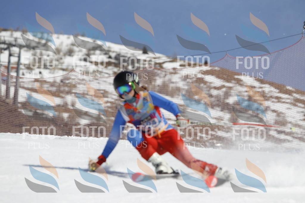 _U3G0769 | holidayphoto