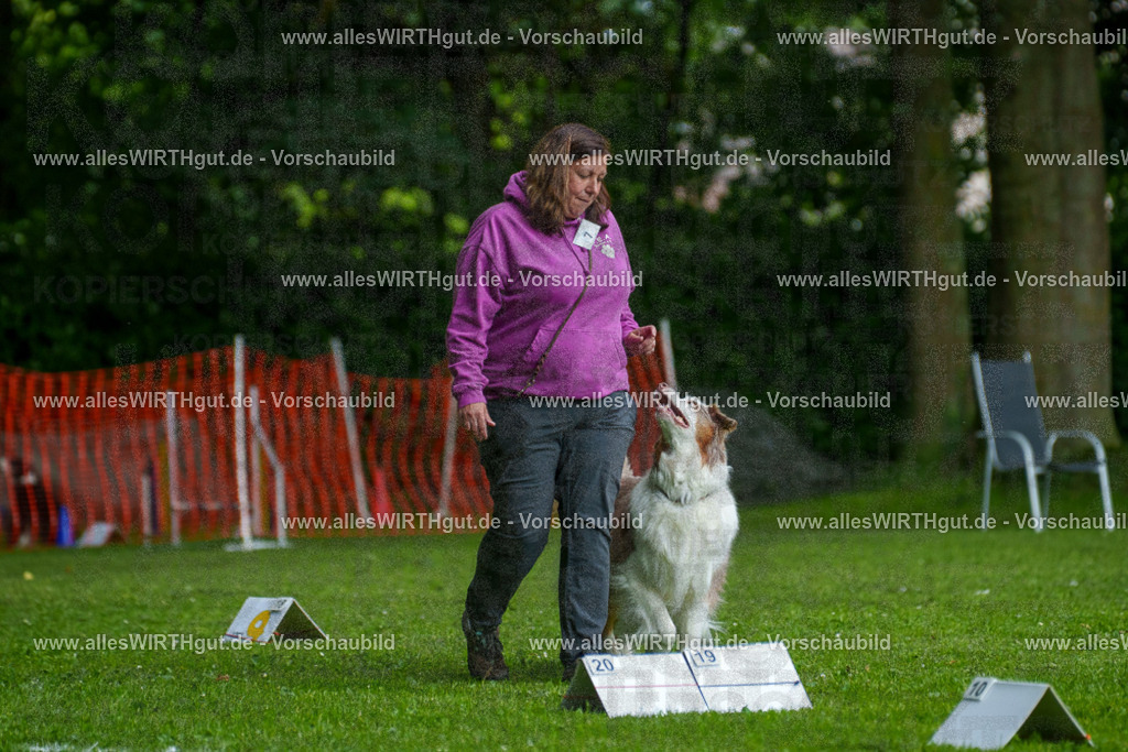 @allesWIRTHgut_Tierfotografie - www.allesWIRTHgut.de - 7R503321 | Professionelle Tierfotografie in Mönchengladbach von Daniel Wirth (allesWIRTHgut). Liebevolle & natürliche Bilder von Hunden & Katzen für unvergessliche Erinnerungen.