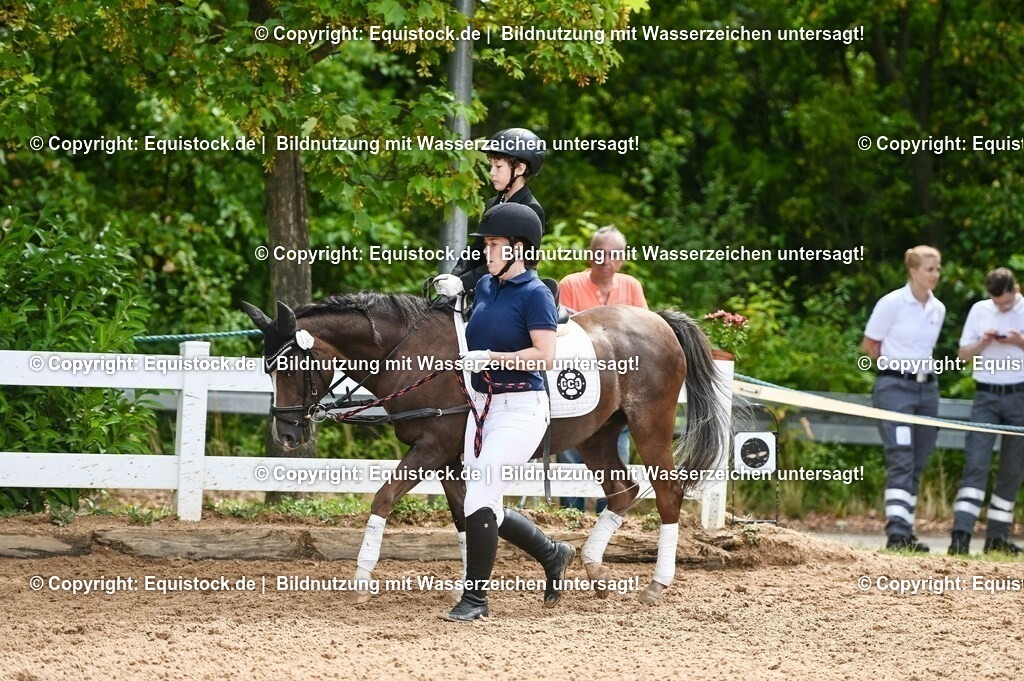 20230716_11_Führzügel-WB_0074 | equistock