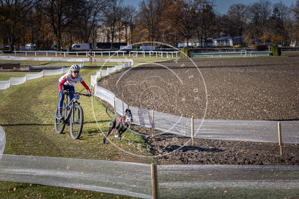 CaniXpix_DV3A6472 | Hundefotografie, Tierfotograf, Pfotenfotografie, Fotoshooting Hund, Hunde Portrait, Hundesport, Hundeportraits, Heideshooting, Hunde, Sportfotograf, Hundefotograf, Turnierhundsport, THS,  - Realisiert mit Pictrs.com