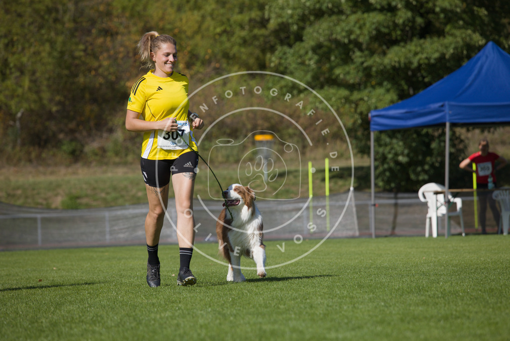 0L8A8198 | Hundefotografie, Tierfotograf, Pfotenfotografie, Fotoshooting Hund, Hunde Portrait, Hundesport, Hundeportraits, Heideshooting, Hunde, Sportfotograf, Hundefotograf, Turnierhundsport, THS,  - Realisiert mit Pictrs.com