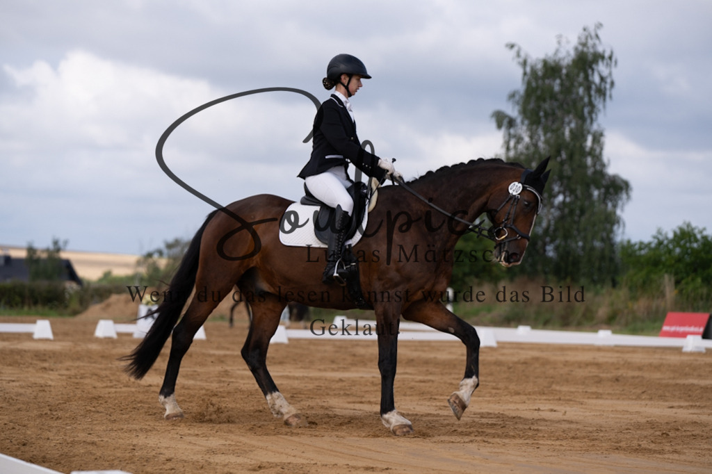 A7V05182 | Pferdefotograf