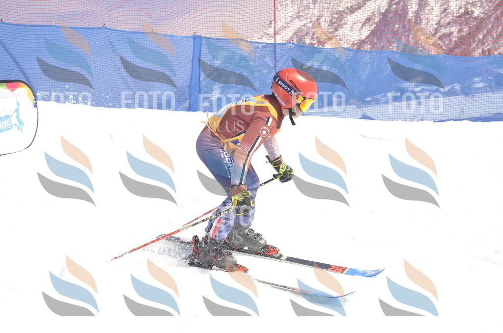 _ELE9507 | holidayphoto