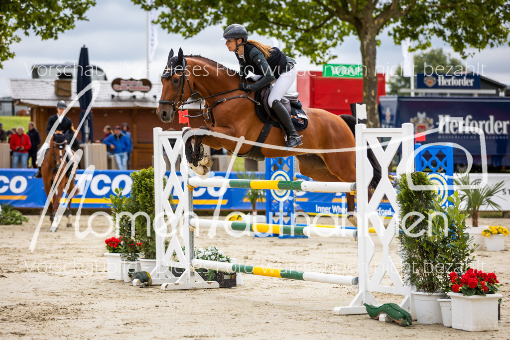 BHO-2PhSpr-M-5-2263 | MomenTaufnahmen Pferdesportfotos