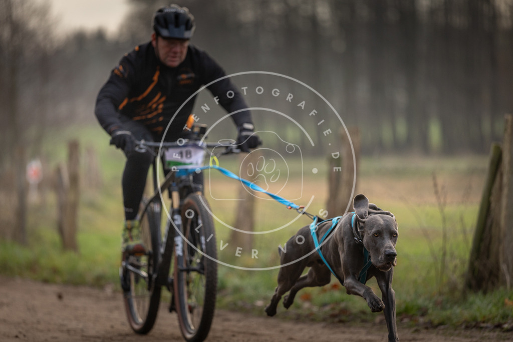 Pfotenfotografie_DV3A1930 | Hundefotografie, Tierfotograf, Pfotenfotografie, Fotoshooting Hund, Hunde Portrait, Hundesport, Hundeportraits, Heideshooting, Hunde, Sportfotograf, Hundefotograf, Turnierhundsport, THS,  - Realisiert mit Pictrs.com