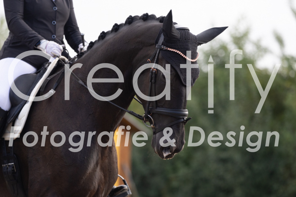 IMG_0122 | Creatify Fotografie