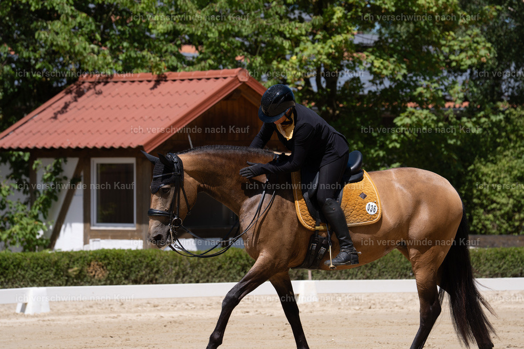 WS_DR_36_sinafilmart_IN08544 | working equitationturnier fotograf videograf stoibphotography marixx film working equitation deutschland reitsport turnierfotografie eventfotografie equestrian events