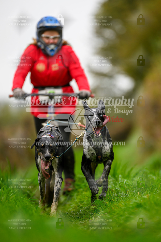 MompixPhotography_20TSB_E8_DS2-26 | PayLife