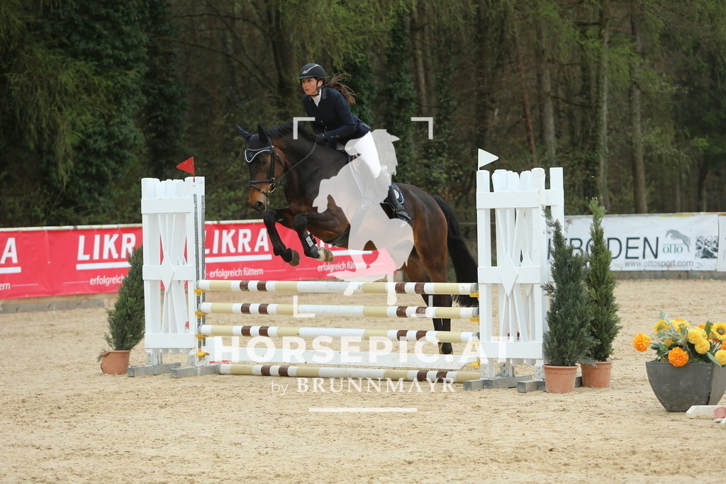 DL2Q1935 | Willkommen bei Brunnmayr - Design & Fotografie – Ihrem Spezialisten für Reitturniere und Pferdeveranstaltungen in Oberösterreich, Salzburg und Bayern! Seit über 17 Jahren sind wir leidenschaftlich dabei.
