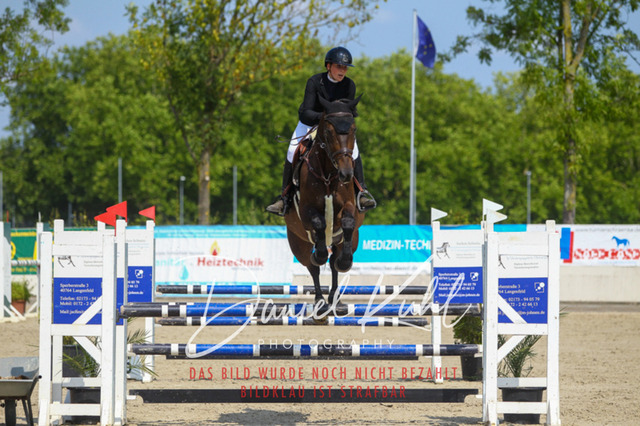 Gut Blee25_Amateuer Stilsprpfg Kl L_0307 | Turniersportfotografie; Pferdefotografie; Dressurfotografie