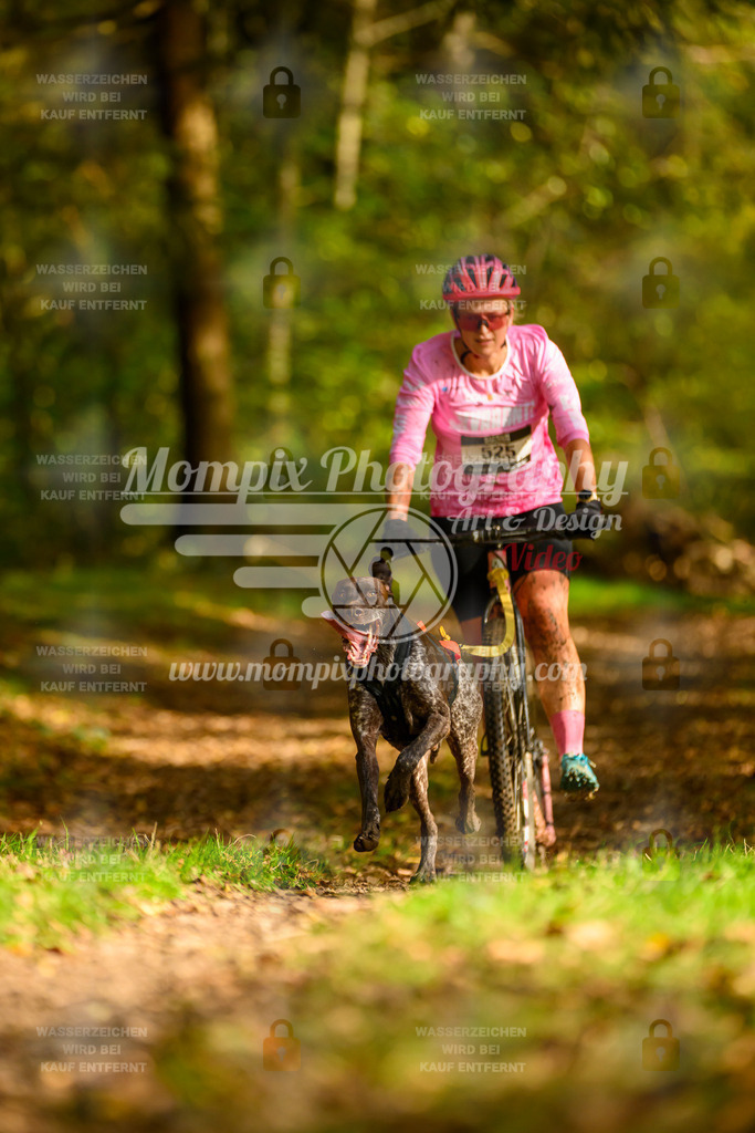 MompixPhotography_20TSB_E1_DS1-1 | PayLife