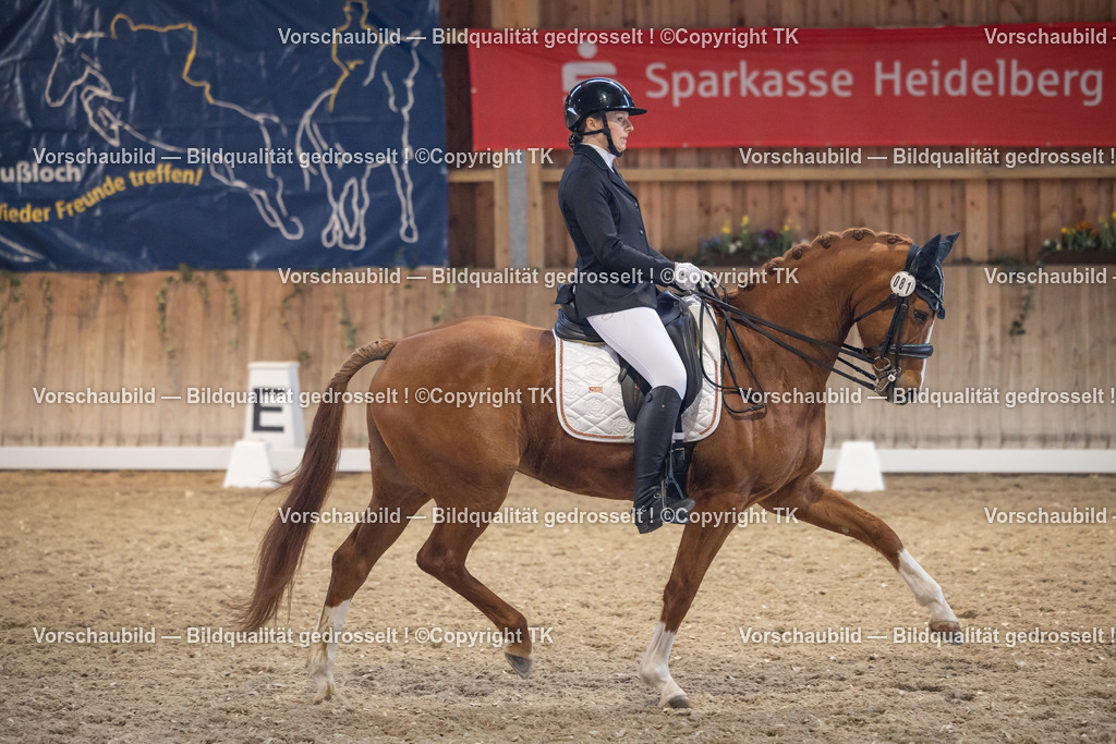 _D5A1886 | Emotionale Pferde- & People-Fotografie rund um Heidelberg, Leimen & Umgebung. Natürliche Fotos von Pferd, Mensch & Familie. Jetzt Termin sichern!