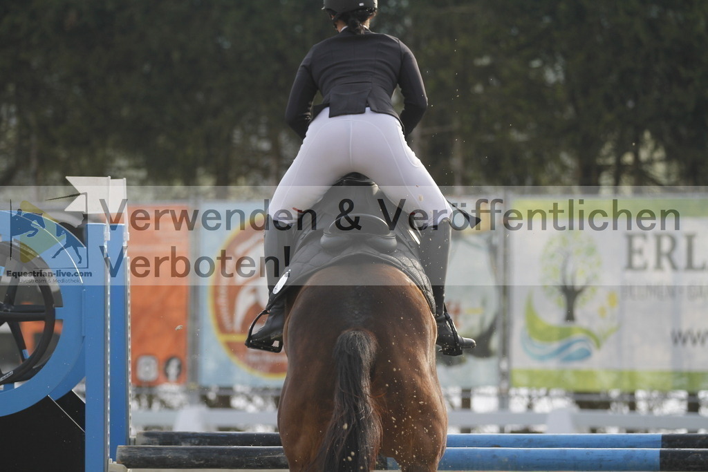_MG_3668 | equestrian-live-com