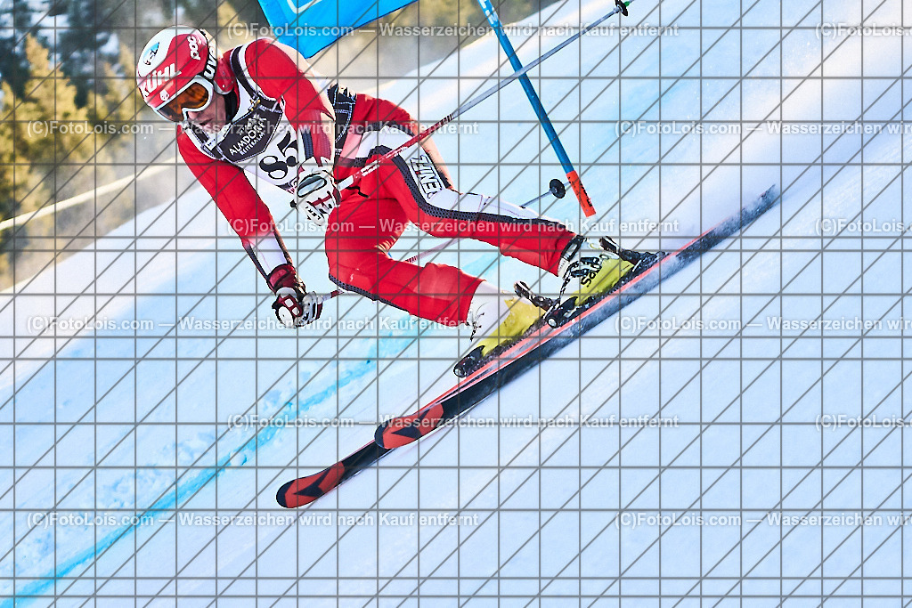 ALP2008_FIS-MastersCup_Reiteralm_Giant-SL_Plattner Karl | FIS-MastersCup GIANT-SLALOM auf der Reiteralm in Pichl, Sa 18. Jänner 2025.