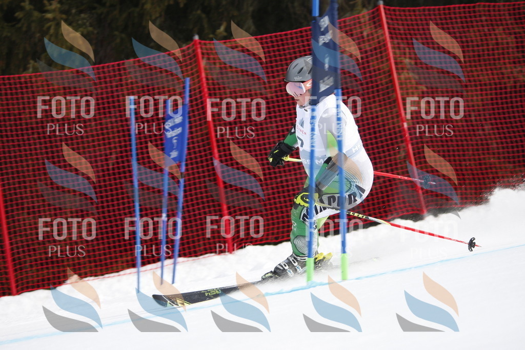 D4661 | holidayphoto