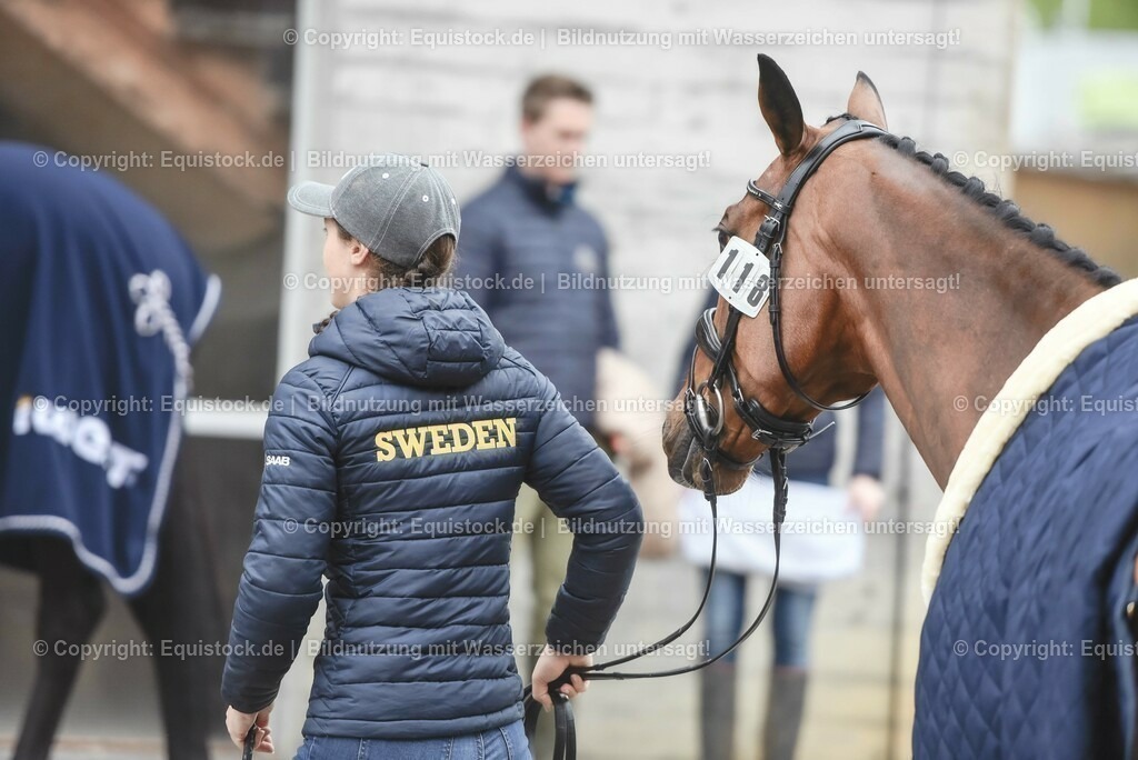20230514_Impressionen_0091 | equistock
