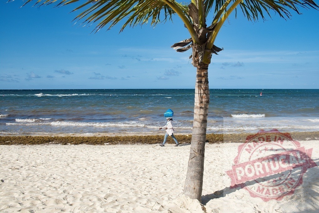 Person carrying blue container walking on tropical beach | Person walking on a beach with a blue container on head next to a palm tree with ocean in background - Realisiert mit Pictrs.com