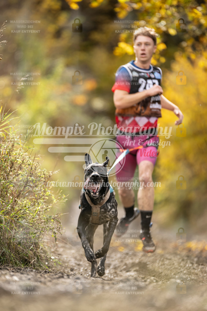 MompixPhotography_ICF_WC_2024_SA_Run_-39 | PayLife