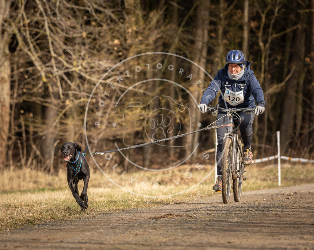 DV3A4367 | Hundefotografie, Tierfotograf, Pfotenfotografie, Fotoshooting Hund, Hunde Portrait, Hundesport, Hundeportraits, Heideshooting, Hunde, Sportfotograf, Hundefotograf, Turnierhundsport, THS,  - Realisiert mit Pictrs.com