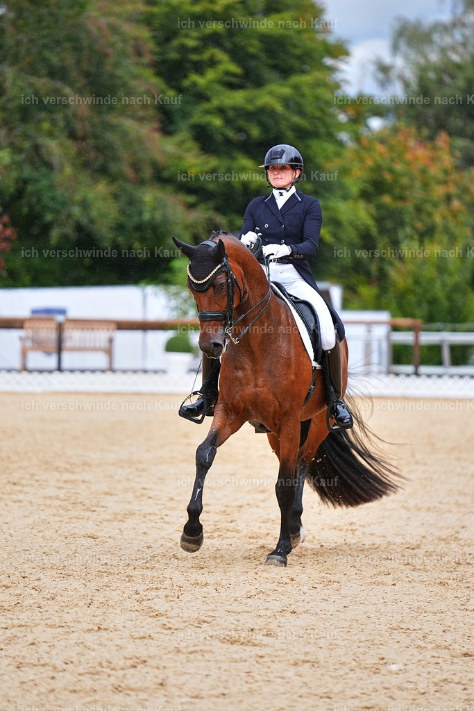 8_1-100-Klasse S_  -Marixx-4199 | working equitationturnier fotograf videograf stoibphotography marixx film working equitation deutschland reitsport turnierfotografie eventfotografie equestrian events