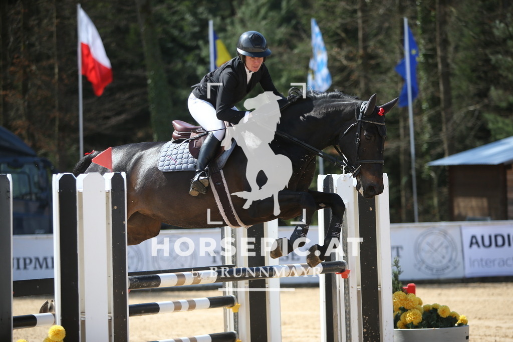 PP014100 | Willkommen bei Brunnmayr - Design & Fotografie – Ihrem Spezialisten für Reitturniere und Pferdeveranstaltungen in Oberösterreich, Salzburg und Bayern! Seit über 17 Jahren sind wir leidenschaftlich dabei.